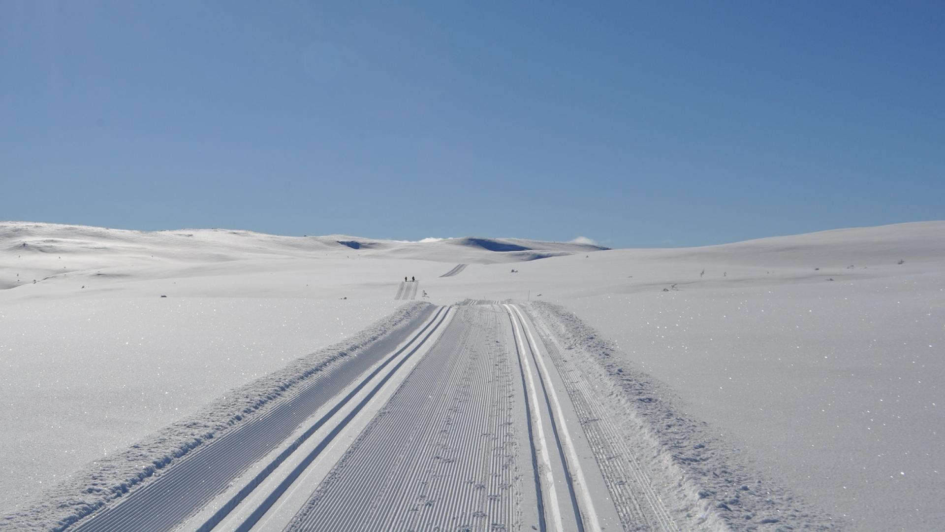 LangrendDu har ikke mindre end 600 km langrendsløjper til rådighed i Kvitfjell, som har fælles løjpenetværk med Skeikampen og Gålå. 
Se løjpekort