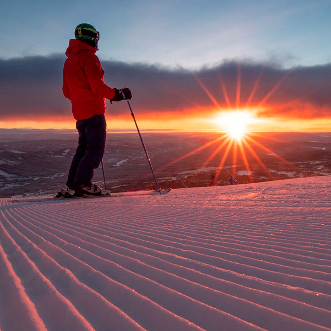 SkiferiePå ski i de svenske eller norske fjelde eller i Alperne? Find din favorit!